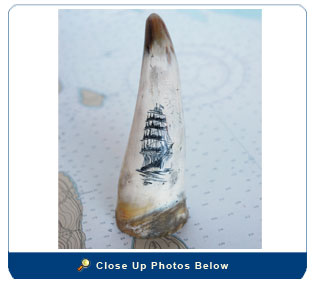 Whaling Shp Horn Scrimshaw