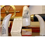 Miscellaneous Scrimshaw Collecion